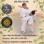 Stage de Karaté Uechi-Ryu à Mauzac avec Sébastien LANGLAIS le 6 juin 2026